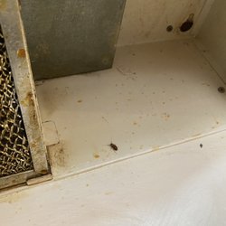 Laramie Valley Contracting Roofing and Concrete Services - Top of stove, ft. one out of tons of roaches