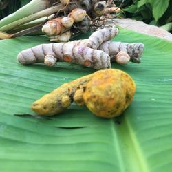 Fresh from the farm!
