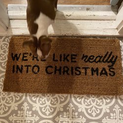 Mabes Flower Market - Got this great Christmas rug at Mabes today!