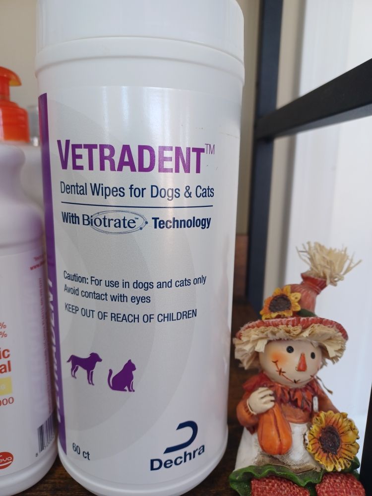 POOCHES HAIR STUDIO DOG GROOMING Updated October 2024 426 Photos