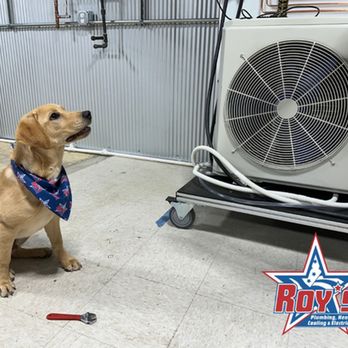 Roy's Plumbing Heating Cooling & Electrical - Plumbing Near Me - Buffalo, New York Roy's Plumbing Heating Cooling & Electrical - Plumbing Near Me - Buffalo, New York