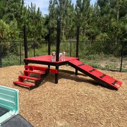Southern Pine Kennels - Outdoor doggy playground