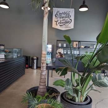 The Boy & The Bear - The Boy And The Bear calming gray and green color scheme with flecks of gold definitely made it calming for me at least. - Coffee & Tea Near Me - Pasadena, California