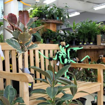 Madison Garden Center - Nurseries & Gardening Near Me - Adrian, Michigan Madison Garden Center - Nurseries & Gardening Near Me - Adrian, Michigan