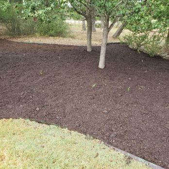 Rain Texas Landscape Service - Completed project. - Landscaping Near Me Rain Texas Landscape Service - Completed project. - Landscaping Near Me