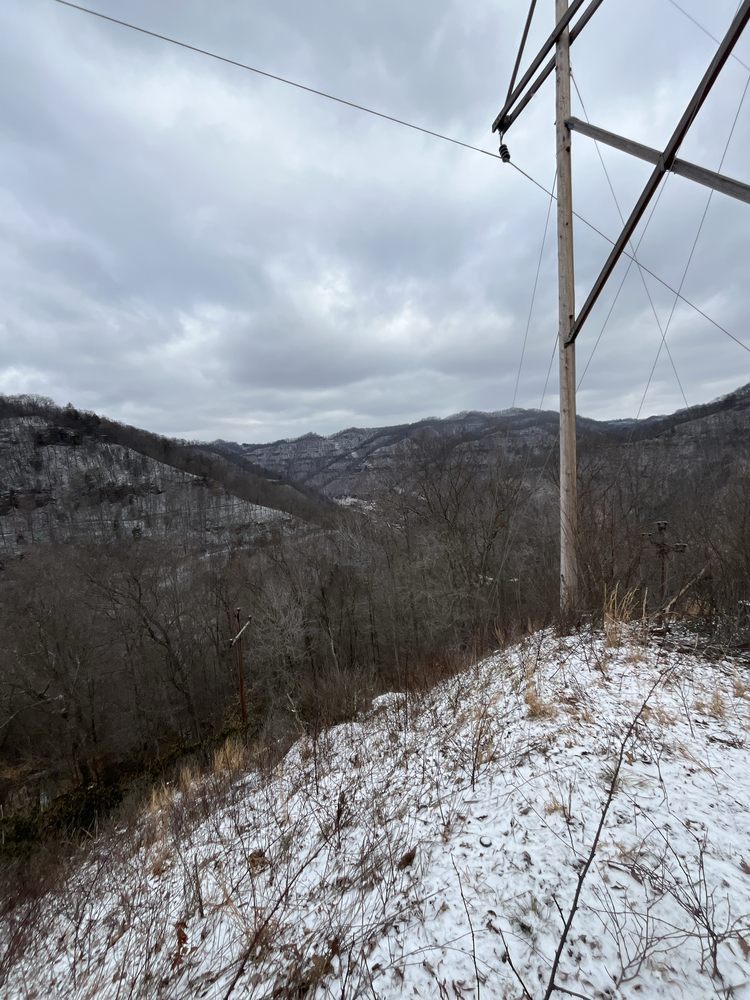 Murray Fellers - tree service in Ravenswood, WV