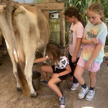 Jupiter Creamery - Attraction Farms Near Me - Jupiter, Florida Jupiter Creamery - Attraction Farms Near Me - Jupiter, Florida