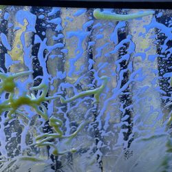 Take 5 Car Wash