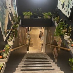 Boheme Yoga