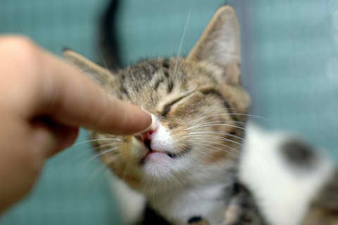 Bodhi Fitness Center by null