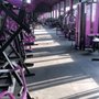 Photo of Ascendancy Fitness
