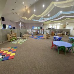The Little Tree PlaySchool
