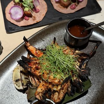 Quiote Tequilaria - New Mexican Cuisine Near Me - Tampa, Florida