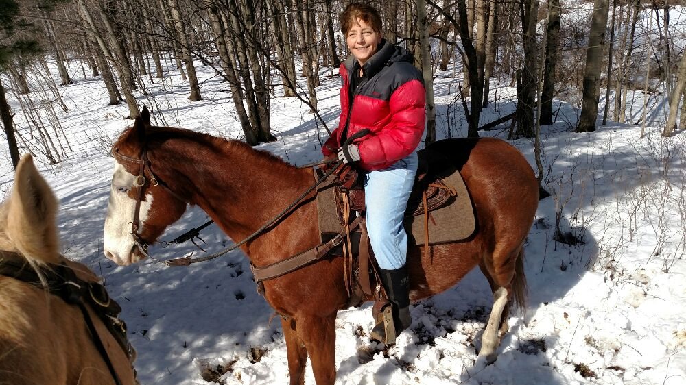 Greendale Farm - equestrian in Holland, NY