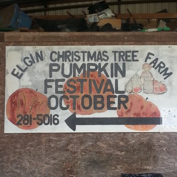 Elgin Christmas Tree Farm - Christmas Trees Near Me - Elgin, Texas