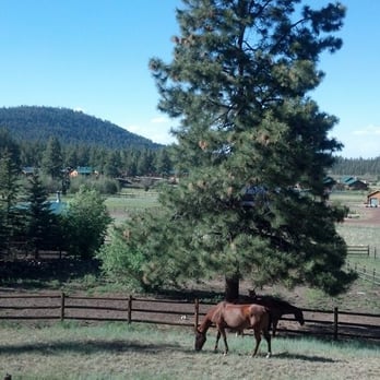Greer Peaks Lodge - Hotels Near Me - Greer, Arizona Greer Peaks Lodge - Hotels Near Me - Greer, Arizona