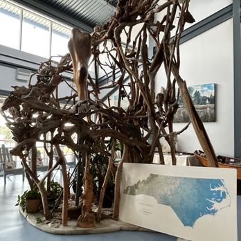 North Carolina Estuarium - Artistic display - Aquariums Near Me - Washington, North Carolina North Carolina Estuarium - Artistic display - Aquariums Near Me - Washington, North Carolina
