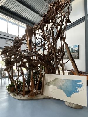 North Carolina Estuarium by null