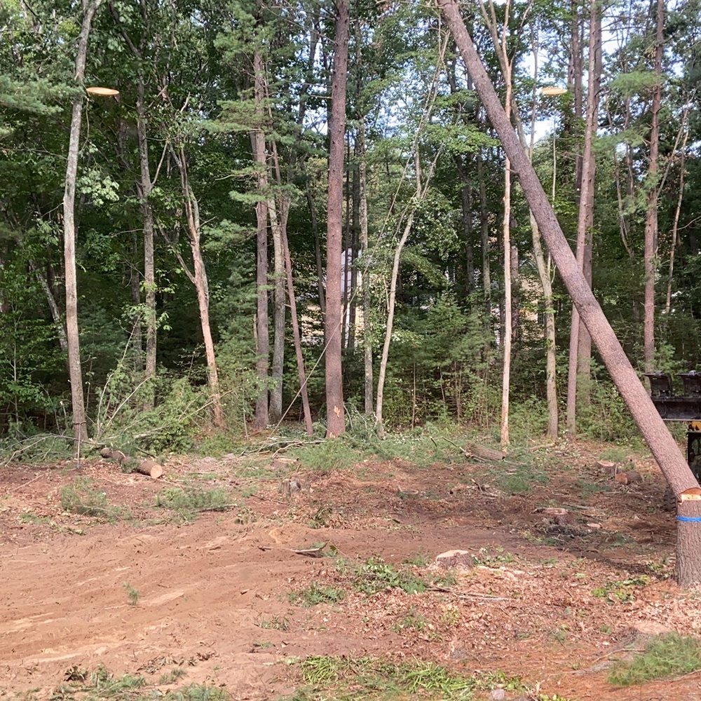 All Pro Tree Service - Tree Services Near Me - Marlborough, Massachusetts All Pro Tree Service - Tree Services Near Me - Marlborough, Massachusetts