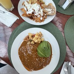 Nopalitos - Enmoladas Order and Chilaquiles Order
