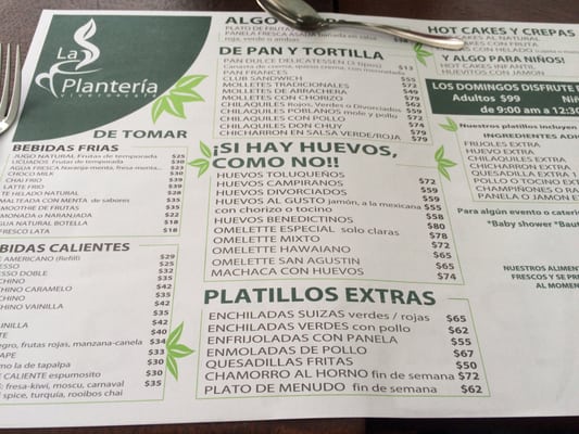 Menu photo 3 La Planteria San Agustín, JAL