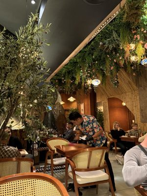 Elephant Ear by null