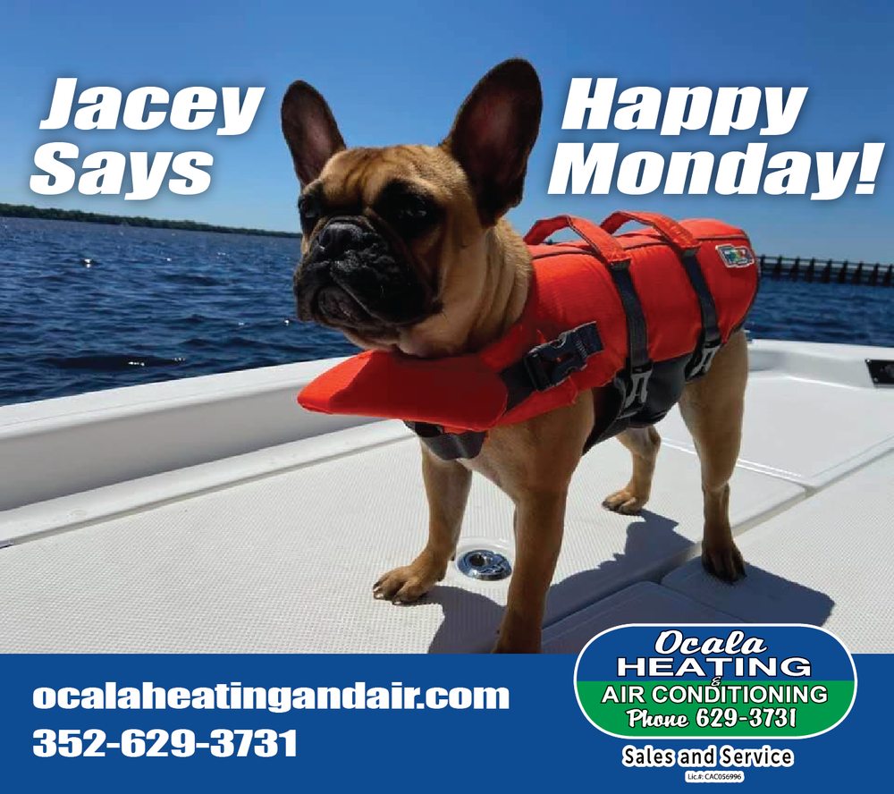 OCALA HEATING & AIR CONDITIONING 50 Photos & 14 Reviews 3695 SE