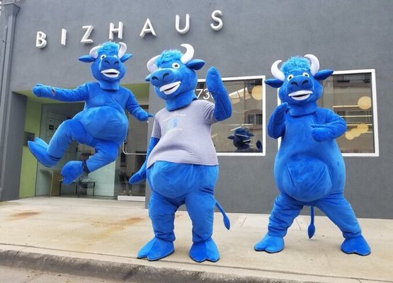 BizHaus Coworking & Private Offices by null