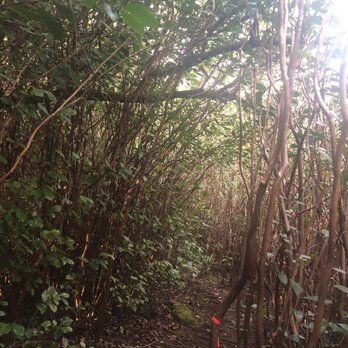 Manana Trail - Follow the pink ribbons - Hiking Near Me Manana Trail - Follow the pink ribbons - Hiking Near Me