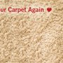 Dan's Carpet Cleaning