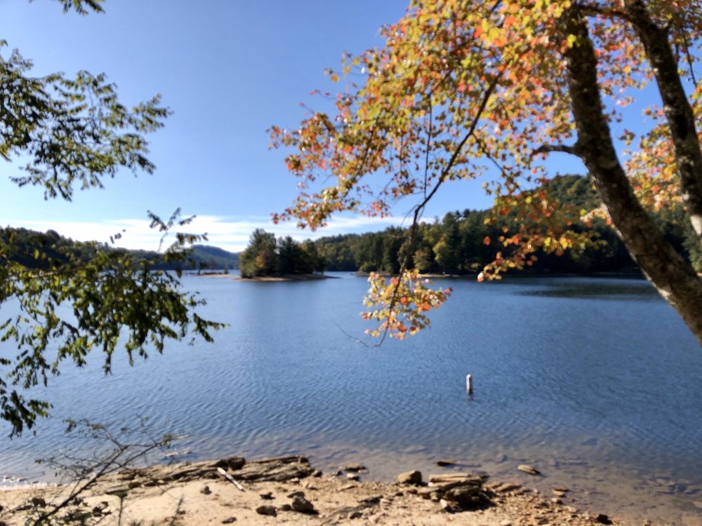 The Pines Recreation Area Logo