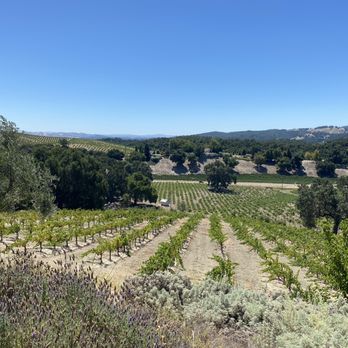 Croad Vineyards - Gorgeous weather and views - Wineries Near Me - Paso Robles, California