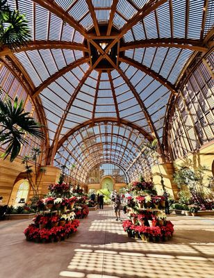 Botanical Building by null