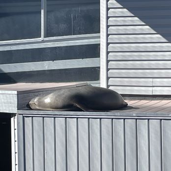 Ocean World - Aquariums Near Me - Crescent City, California