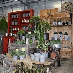 Tomfort Gartenbau - In der Verkaufsgärtnerei