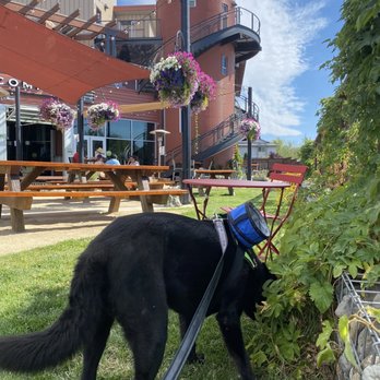 Worthy Brewing - Breweries Near Me - Bend, Oregon Worthy Brewing - Breweries Near Me - Bend, Oregon