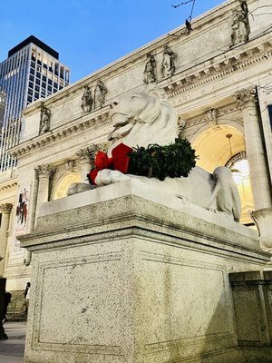 New York Public Library - Stephen A. Schwarzman Building by null