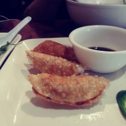 Chicken Pot Stickers