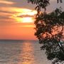 Photo of Evangola State Park
