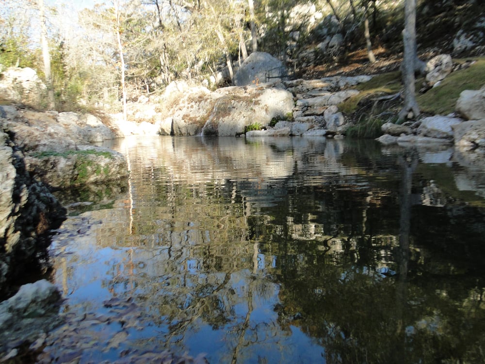 Freshwater Ecosystems Logo
