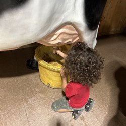Musée Pour Enfants de Laval