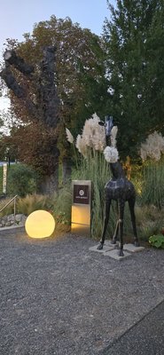 aiola upstairs by null