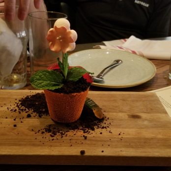 Yardbird - Mississippi Mud Flower Pot. AMAZING - Southern Near Me - Las Vegas, Nevada Yardbird - Mississippi Mud Flower Pot. AMAZING - Southern Near Me - Las Vegas, Nevada