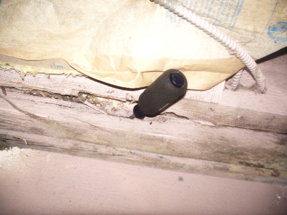 Check Mark Services - mold inspector in Mount Kisco, NY