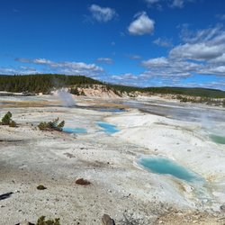 Norris Geyser Basin
