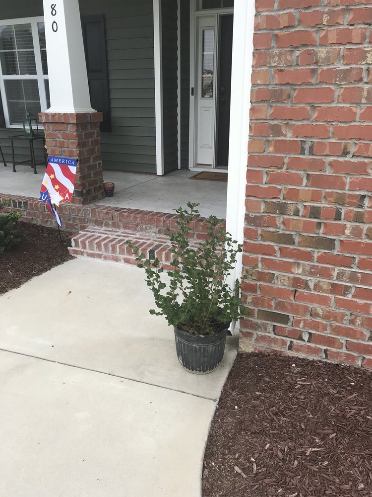 FRIENDLY NURSERY Updated September 2024 4496 Old Crk Rd, Greenville