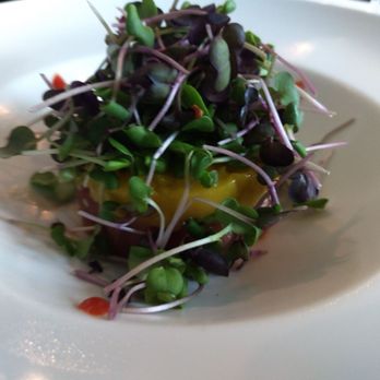 kitchen - Ahi, mango, and avocado salad. - New American Near Me - Palm Beach Gardens, Florida kitchen - Ahi, mango, and avocado salad. - New American Near Me - Palm Beach Gardens, Florida