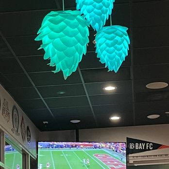Taplands - hops...although u don't do hops - Beer Bar Near Me - Santa Clara, California