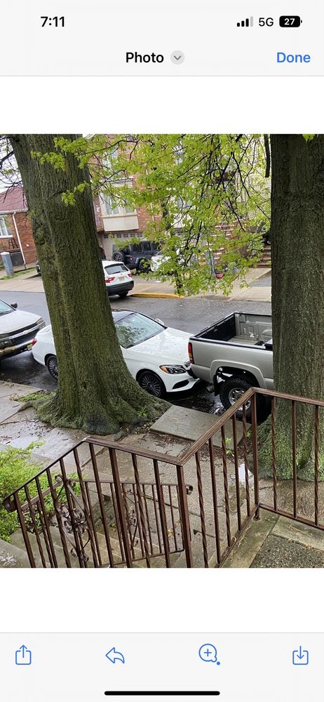 Chop & Chip Tree Service - tree service in Fairview, NJ