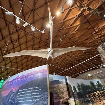 Museum of the Big Bend - Full sized flying dino for the win! - Museums Near Me - Alpine, Texas Museum of the Big Bend - Full sized flying dino for the win! - Museums Near Me - Alpine, Texas